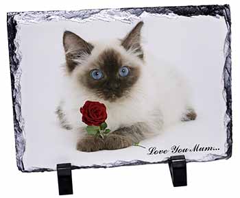 Ragdoll Cat+Rose 