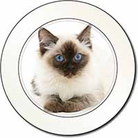 Ragdoll Cat with Blue Eyes Car or Van Permit Holder/Tax Disc Holder