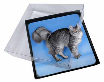 4x Silver Maine Coon Cat Picture Table Coasters Set in Gift Box