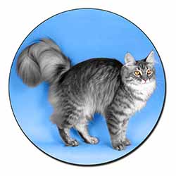 Silver Maine Coon Cat Fridge Magnet Printed Full Colour