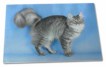 Large Glass Cutting Chopping Board Silver Maine Coon Cat