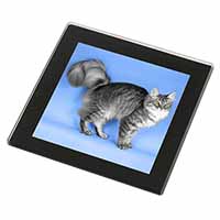 Silver Maine Coon Cat Black Rim High Quality Glass Coaster