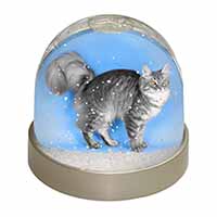 Silver Maine Coon Cat Snow Globe Photo Waterball