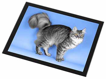 Silver Maine Coon Cat Black Rim High Quality Glass Placemat