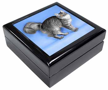 Silver Maine Coon Cat Keepsake/Jewellery Box