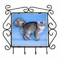 Silver Maine Coon Cat Wrought Iron Key Holder Hooks