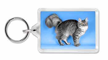 Silver Maine Coon Cat Photo Keyring printed full colour