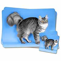 Silver Maine Coon Cat Twin 2x Placemats and 2x Coasters Set in Gift Box