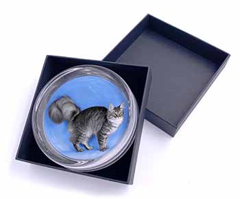Silver Maine Coon Cat Glass Paperweight in Gift Box