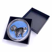 Silver Maine Coon Cat Glass Paperweight in Gift Box