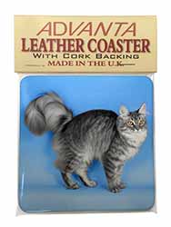 Silver Maine Coon Cat Single Leather Photo Coaster