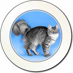 Silver Maine Coon Cat Car or Van Permit Holder/Tax Disc Holder