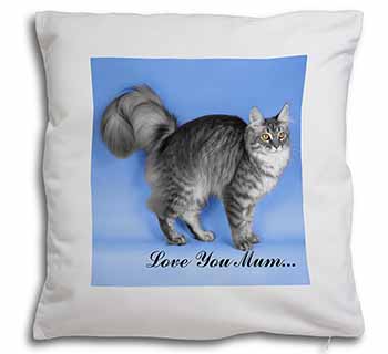 Silver Maine Coon Cat 