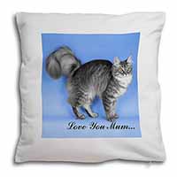 Silver Maine Coon Cat 
