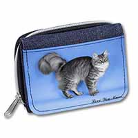 Silver Maine Coon Cat 