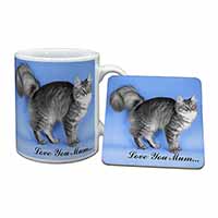 Silver Maine Coon Cat 