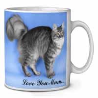Silver Maine Coon Cat 