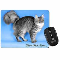 Silver Maine Coon Cat 