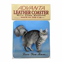Silver Maine Coon Cat 