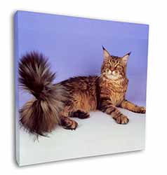 Tabby Maine Coon Cat Square Canvas 12"x12" Wall Art Picture Print