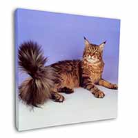 Tabby Maine Coon Cat Square Canvas 12"x12" Wall Art Picture Print