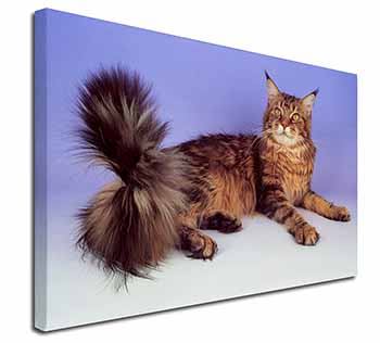 Tabby Maine Coon Cat Canvas X-Large 30"x20" Wall Art Print