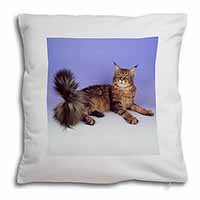 Tabby Maine Coon Cat Soft White Velvet Feel Scatter Cushion