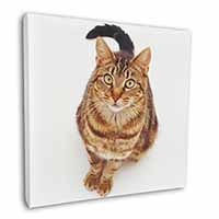 Brown Tabby Cat Square Canvas 12"x12" Wall Art Picture Print