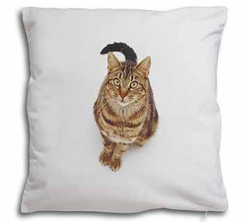 Brown Tabby Cat Soft White Velvet Feel Scatter Cushion