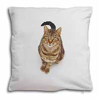 Brown Tabby Cat Soft White Velvet Feel Scatter Cushion - Advanta Group®