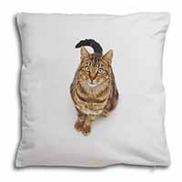 Brown Tabby Cat Soft White Velvet Feel Scatter Cushion