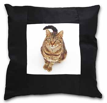 Brown Tabby Cat Black Satin Feel Scatter Cushion