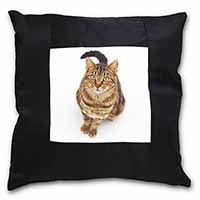 Brown Tabby Cat Black Satin Feel Scatter Cushion