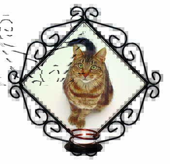 Brown Tabby Cat Wrought Iron Wall Art Candle Holder