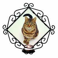 Brown Tabby Cat Wrought Iron Wall Art Candle Holder