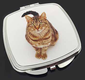 Brown Tabby Cat Make-Up Compact Mirror