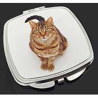Brown Tabby Cat Make-Up Compact Mirror