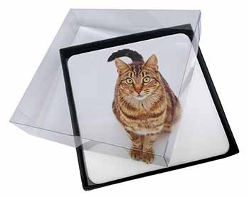 4x Brown Tabby Cat Picture Table Coasters Set in Gift Box