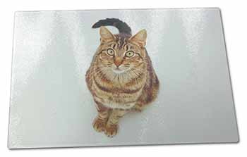 Large Glass Cutting Chopping Board Brown Tabby Cat