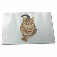 Large Glass Cutting Chopping Board Brown Tabby Cat