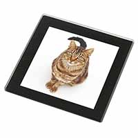 Brown Tabby Cat Black Rim High Quality Glass Coaster