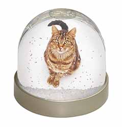 Brown Tabby Cat Snow Globe Photo Waterball