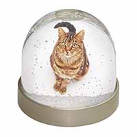 Brown Tabby Cat Snow Globe Photo Waterball