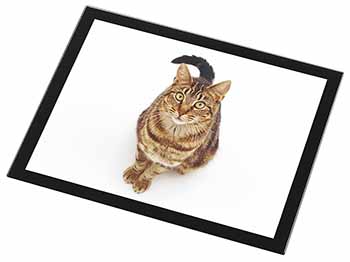 Brown Tabby Cat Black Rim High Quality Glass Placemat