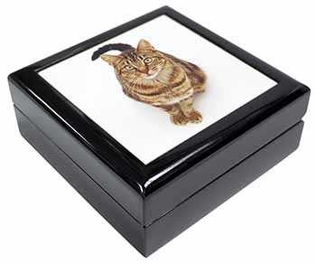 Brown Tabby Cat Keepsake/Jewellery Box