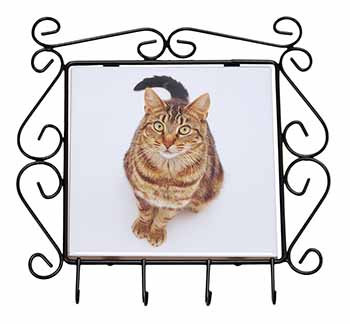 Brown Tabby Cat Wrought Iron Key Holder Hooks