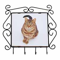 Brown Tabby Cat Wrought Iron Key Holder Hooks