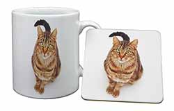 Brown Tabby Cat Mug and Coaster Set
