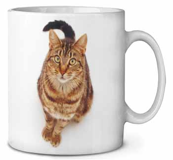 Brown Tabby Cat Ceramic 10oz Coffee Mug/Tea Cup