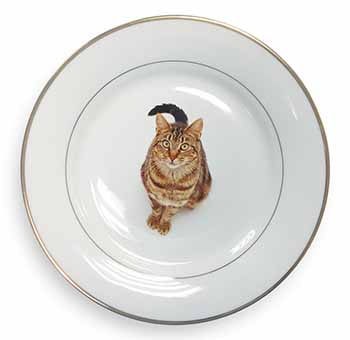 Brown Tabby Cat Gold Rim Plate Printed Full Colour in Gift Box